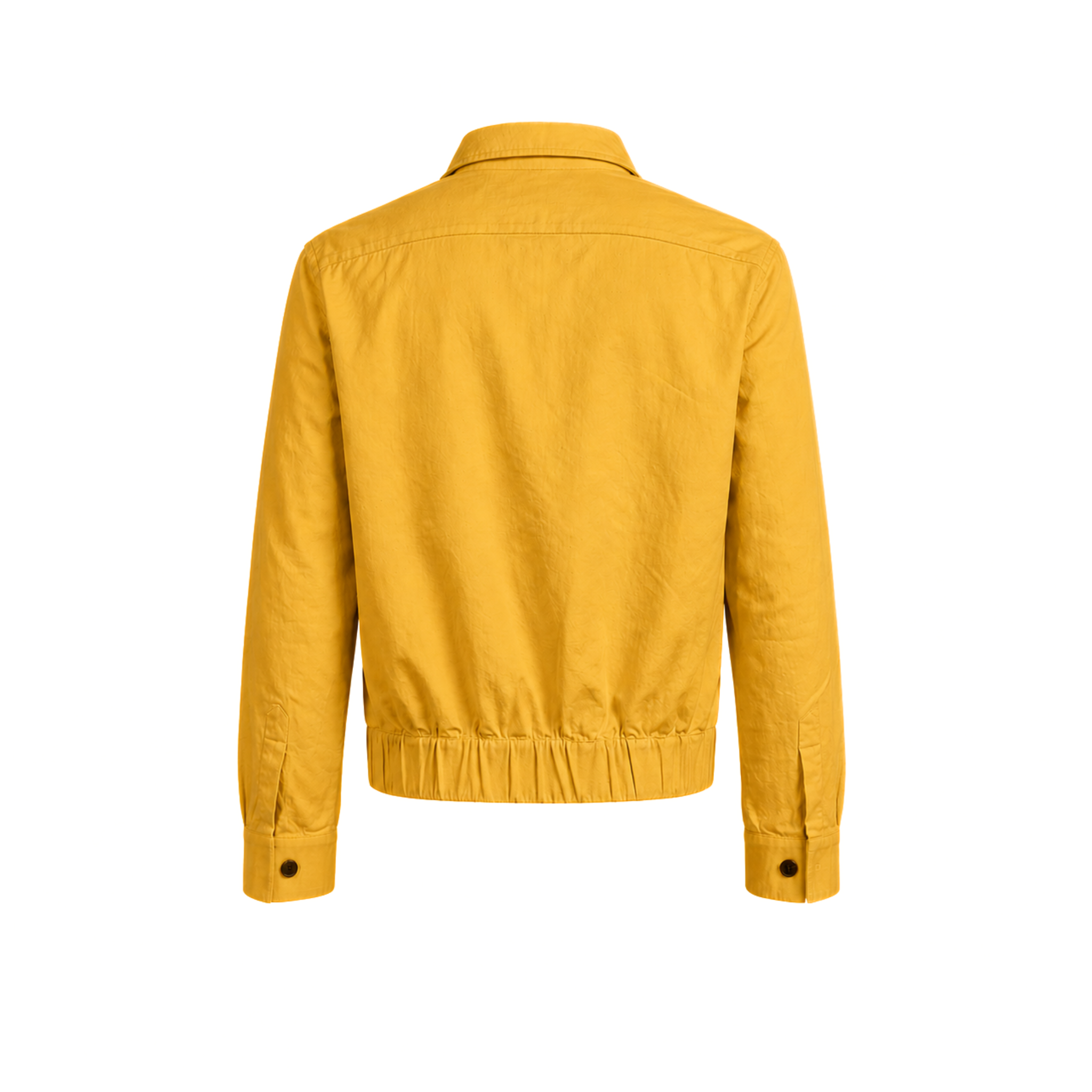 BOMBER IN COTONE